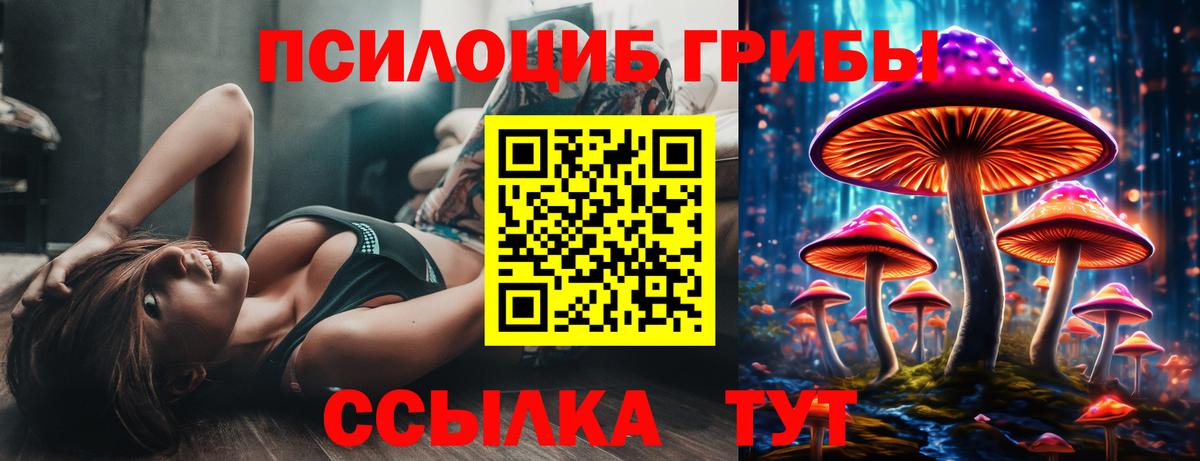 Псилоцибиновые грибы ЛСД  Галлюциногенные грибы Psilocybine cubensis  Вход с VPN  Ачхой-Мартан 